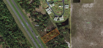 Amazing property available. Vacant .67 Residential lot located on Lily Lake Golf & RV Resort in Florida - for sale on GolfHomes.com, golf home, golf lot