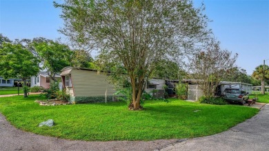 One or more photo(s) has been virtually staged. Welcome to Dora on Country Club of Mount Dora in Florida - for sale on GolfHomes.com, golf home, golf lot