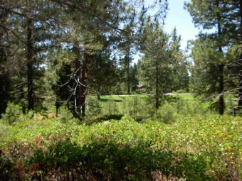 Premier Golf Course lot in Bailey Creek.  On the 9th fairway on Bailey Creek Golf Course in California - for sale on GolfHomes.com, golf home, golf lot
