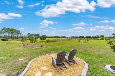 Golf Course Views and Luxury Await!  Experience resort-style on Stone Creek Golf Club in Florida - for sale on GolfHomes.com, golf home, golf lot