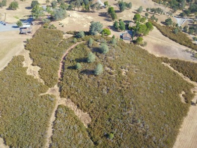 7.17 Acres of vacant land with unlimited possibilities. Hilltop on La Contenta Golf Course in California - for sale on GolfHomes.com, golf home, golf lot
