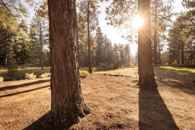 Enveloped by a quiet grove of mature pines and backing to a on Big Bear Mountain Ski and Golf Resort in California - for sale on GolfHomes.com, golf home, golf lot