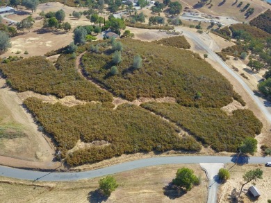 7.17 Acres of vacant land with unlimited possibilities. Hilltop on La Contenta Golf Course in California - for sale on GolfHomes.com, golf home, golf lot