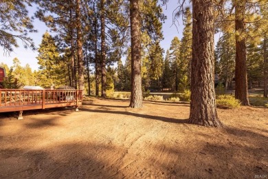 Enveloped by a quiet grove of mature pines and backing to a on Big Bear Mountain Ski and Golf Resort in California - for sale on GolfHomes.com, golf home, golf lot