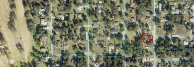 Build-Ready Lot in Rainbow's End - Near Rainbow Springs on Rainbows End Golf Club in Florida - for sale on GolfHomes.com, golf home, golf lot