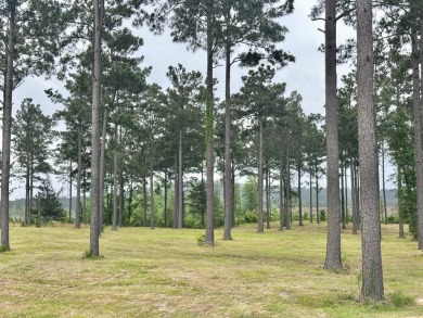 Located at the end of the street on a quiet cul-de-sac, these on Cypress Bend Golf Resort in Louisiana - for sale on GolfHomes.com, golf home, golf lot