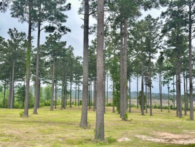 Located at the end of the street on a quiet cul-de-sac, these on Cypress Bend Golf Resort in Louisiana - for sale on GolfHomes.com, golf home, golf lot