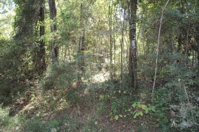 Two lots totaling 0.576 acre. This wooded property is located in on Pendleton Harbor in Texas - for sale on GolfHomes.com, golf home, golf lot