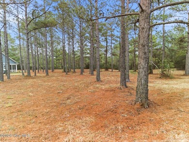 Rare 0.47-acre property!! One of the largest remaining lots in on Sea Trail Golf Resort in North Carolina - for sale on GolfHomes.com, golf home, golf lot