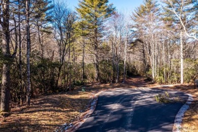 This is a unique opportunity to own a lot along Robinson Creek on Natures Walk At Chinquapin in North Carolina - for sale on GolfHomes.com, golf home, golf lot