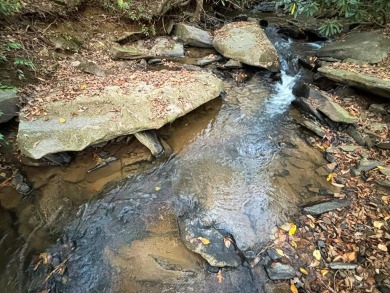 Imagine having 4.36 acres of unrestricted land, with on Old Toccoa Farm Golf Club in Georgia - for sale on GolfHomes.com, golf home, golf lot