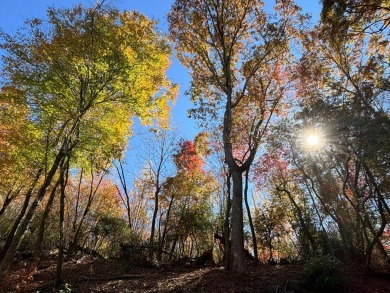 Imagine having 4.36 acres of unrestricted land, with on Old Toccoa Farm Golf Club in Georgia - for sale on GolfHomes.com, golf home, golf lot