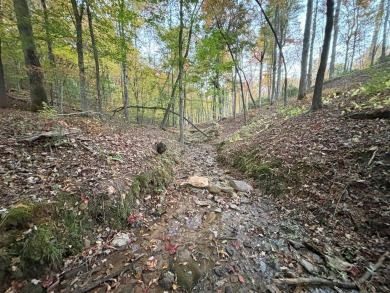 Imagine having 4.36 acres of unrestricted land, with on Old Toccoa Farm Golf Club in Georgia - for sale on GolfHomes.com, golf home, golf lot