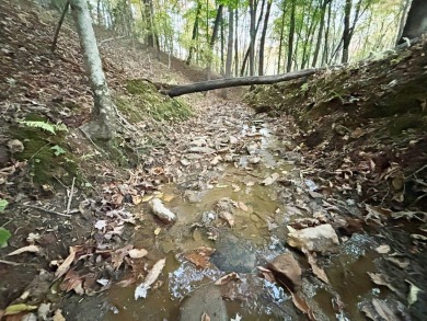 Imagine having 4.36 acres of unrestricted land, with on Old Toccoa Farm Golf Club in Georgia - for sale on GolfHomes.com, golf home, golf lot