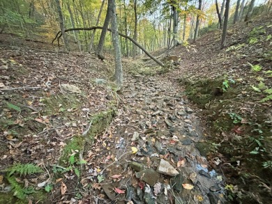 Imagine having 4.36 acres of unrestricted land, with on Old Toccoa Farm Golf Club in Georgia - for sale on GolfHomes.com, golf home, golf lot