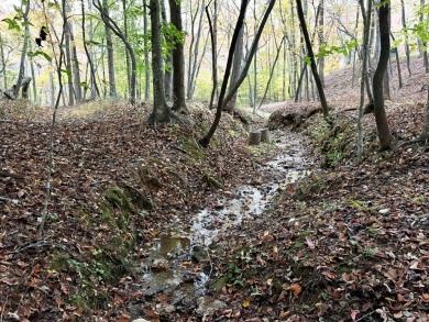 Imagine having 4.36 acres of unrestricted land, with on Old Toccoa Farm Golf Club in Georgia - for sale on GolfHomes.com, golf home, golf lot