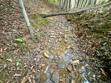 Imagine having 4.36 acres of unrestricted land, with on Old Toccoa Farm Golf Club in Georgia - for sale on GolfHomes.com, golf home, golf lot