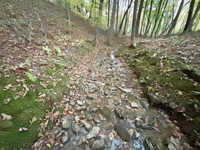 Imagine having 4.36 acres of unrestricted land, with on Old Toccoa Farm Golf Club in Georgia - for sale on GolfHomes.com, golf home, golf lot