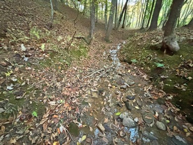 Imagine having 4.36 acres of unrestricted land, with on Old Toccoa Farm Golf Club in Georgia - for sale on GolfHomes.com, golf home, golf lot