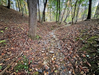 Imagine having 4.36 acres of unrestricted land, with on Old Toccoa Farm Golf Club in Georgia - for sale on GolfHomes.com, golf home, golf lot