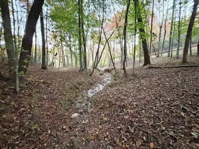 Imagine having 4.36 acres of unrestricted land, with on Old Toccoa Farm Golf Club in Georgia - for sale on GolfHomes.com, golf home, golf lot