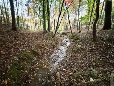 Imagine having 4.36 acres of unrestricted land, with on Old Toccoa Farm Golf Club in Georgia - for sale on GolfHomes.com, golf home, golf lot