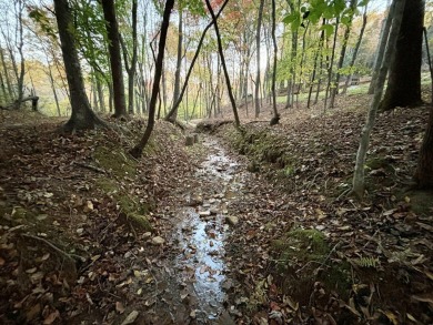 Imagine having 4.36 acres of unrestricted land, with on Old Toccoa Farm Golf Club in Georgia - for sale on GolfHomes.com, golf home, golf lot