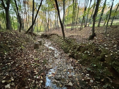 Imagine having 4.36 acres of unrestricted land, with on Old Toccoa Farm Golf Club in Georgia - for sale on GolfHomes.com, golf home, golf lot