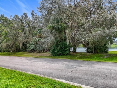 Build your dream home on Lake Black Bear!
This 0.82-acre on Black Bear Golf Club in Florida - for sale on GolfHomes.com, golf home, golf lot