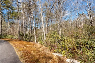 How does a mountain home with river frontage in the popular on Burlingame Country Club in North Carolina - for sale on GolfHomes.com, golf home, golf lot