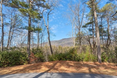 How does a mountain home with river frontage in the popular on Burlingame Country Club in North Carolina - for sale on GolfHomes.com, golf home, golf lot