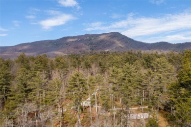 How does a mountain home with river frontage in the popular on Burlingame Country Club in North Carolina - for sale on GolfHomes.com, golf home, golf lot