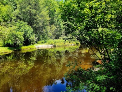 Located along the Toxaway River and the upper reaches of Lake on Lake Toxaway Country Club in North Carolina - for sale on GolfHomes.com, golf home, golf lot