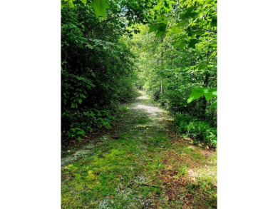 Located along the Toxaway River and the upper reaches of Lake on Lake Toxaway Country Club in North Carolina - for sale on GolfHomes.com, golf home, golf lot