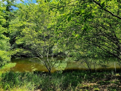 Located along the Toxaway River and the upper reaches of Lake on Lake Toxaway Country Club in North Carolina - for sale on GolfHomes.com, golf home, golf lot