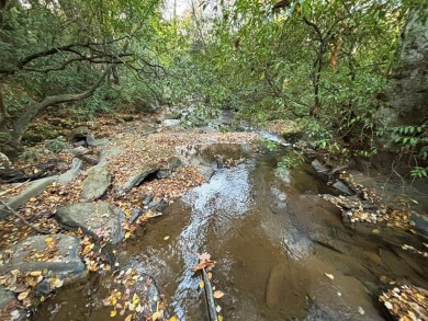 Imagine having 4.25 acres of unrestricted land, with on Old Toccoa Farm Golf Club in Georgia - for sale on GolfHomes.com, golf home, golf lot