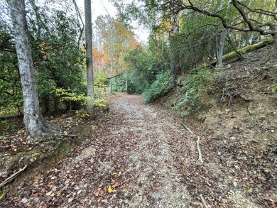 Imagine having 4.25 acres of unrestricted land, with on Old Toccoa Farm Golf Club in Georgia - for sale on GolfHomes.com, golf home, golf lot