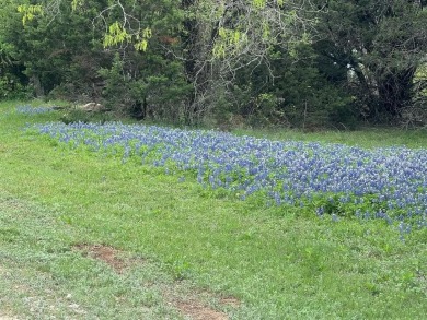 Beautiful lot well maintained and ready to be built on on White Bluff Resort - New Course in Texas - for sale on GolfHomes.com, golf home, golf lot