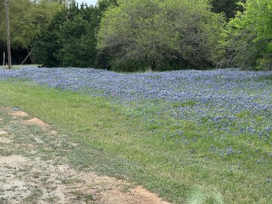 Beautiful lot well maintained and ready to be built on on White Bluff Resort - New Course in Texas - for sale on GolfHomes.com, golf home, golf lot