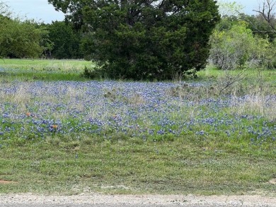Beautiful lot well maintained and ready to be built on on White Bluff Resort - New Course in Texas - for sale on GolfHomes.com, golf home, golf lot