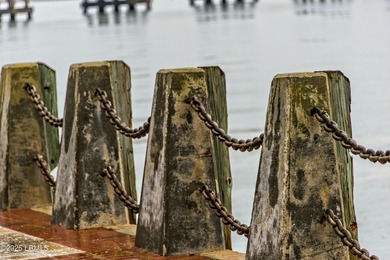 WATERFRONT POND VIEWS: Welcome to 150 Dataw Drive, a waterfront on Dataw Island Club in South Carolina - for sale on GolfHomes.com, golf home, golf lot
