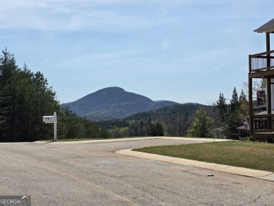 Build your dream home on this double lot in Innsbruck! Perfect on Innsbruck Resort and Golf Club in Georgia - for sale on GolfHomes.com, golf home, golf lot