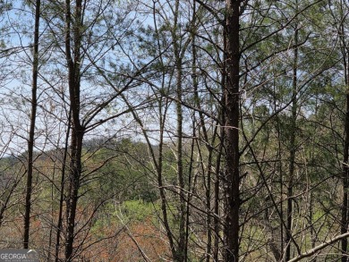 Build your dream home on this double lot in Innsbruck! Perfect on Innsbruck Resort and Golf Club in Georgia - for sale on GolfHomes.com, golf home, golf lot