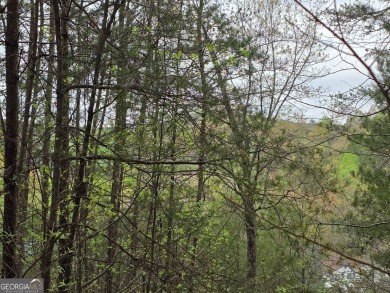 Build your dream home on this double lot in Innsbruck! Perfect on Innsbruck Resort and Golf Club in Georgia - for sale on GolfHomes.com, golf home, golf lot