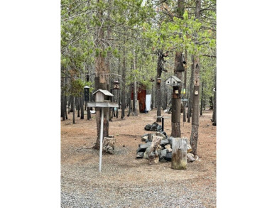 Experience nearly 12 acres of beautiful outdoor space in on  in Oregon - for sale on GolfHomes.com, golf home, golf lot