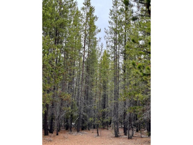 Experience nearly 12 acres of beautiful outdoor space in on  in Oregon - for sale on GolfHomes.com, golf home, golf lot