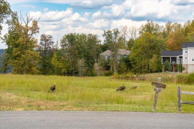 Six Acres of Elevated Luxury. Premier Bluff Lot in Jasper on Sequatchie Valley Golf and Country Club in Tennessee - for sale on GolfHomes.com, golf home, golf lot