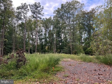 Check out this huge lot that is all ready to be built on! This on Captains Cove Golf and Yacht Club in Virginia - for sale on GolfHomes.com, golf home, golf lot