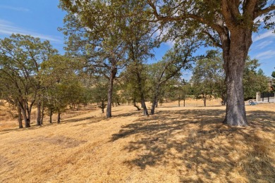 For sale: a picturesque 0.54-acre residential lot at the on The Club at Copper Valley Golf Course in California - for sale on GolfHomes.com, golf home, golf lot