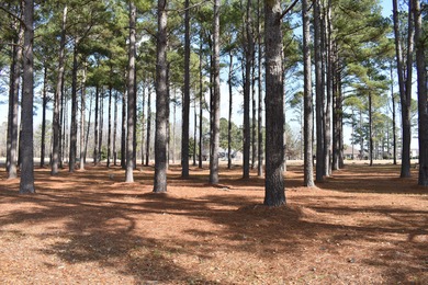 Almost one acre located onThe Players Course at Wyboo. Buy now on Players Course At Wyboo Plantation in South Carolina - for sale on GolfHomes.com, golf home, golf lot